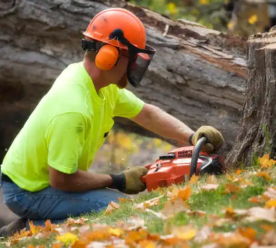 tree services Greenbelt